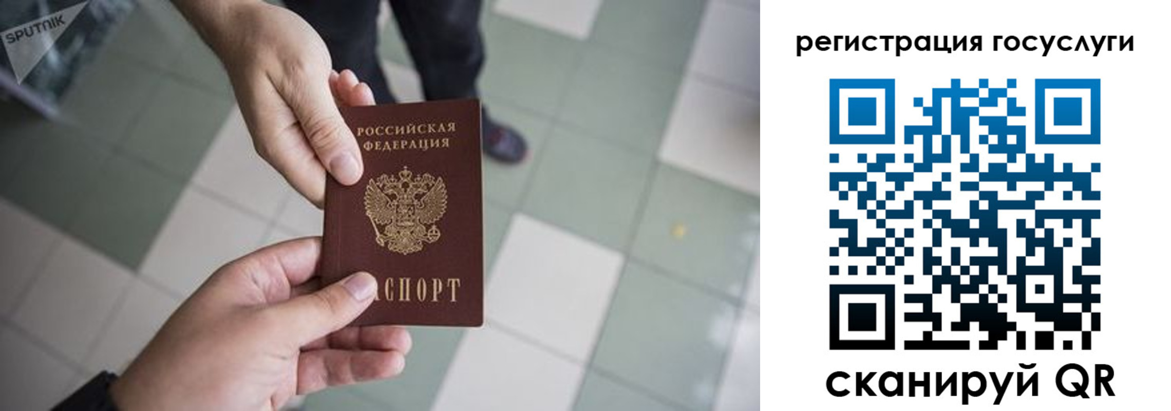 прописка для школы в Жуковском